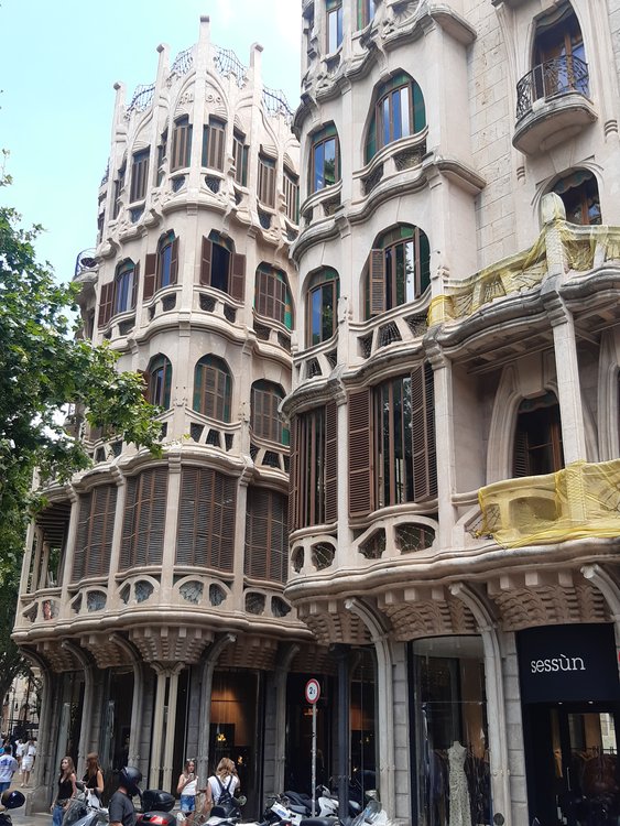 ../previews/038-20260605_135926_Palma.jpg.medium.jpeg