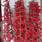 thumbnails/013-20260605_164321.jpg.small.jpeg