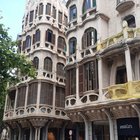 thumbnails/038-20260605_135926_Palma.jpg.small.jpeg