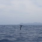 thumbnails/040-20260607_145127.png.small.jpeg
